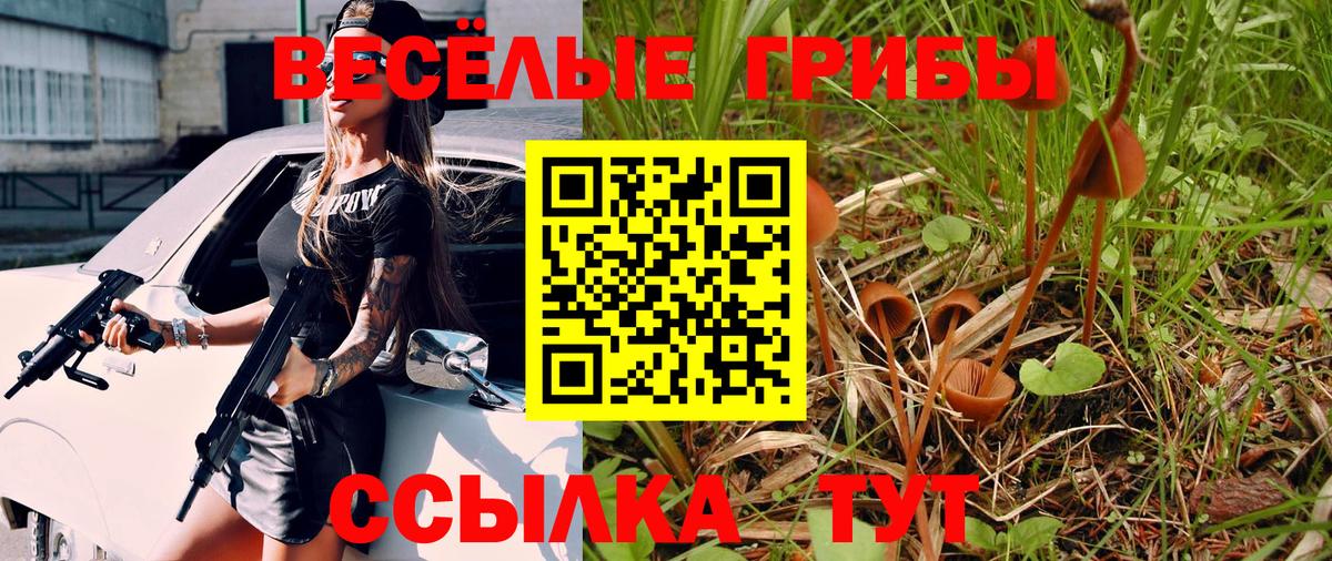 Псилоцибиновые грибы MAGIC MUSHROOMS Богданович