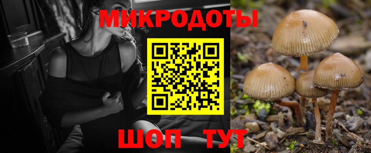 Богданович  закладка  Вход с VPN  Галлюциногенные грибы ЛСД 